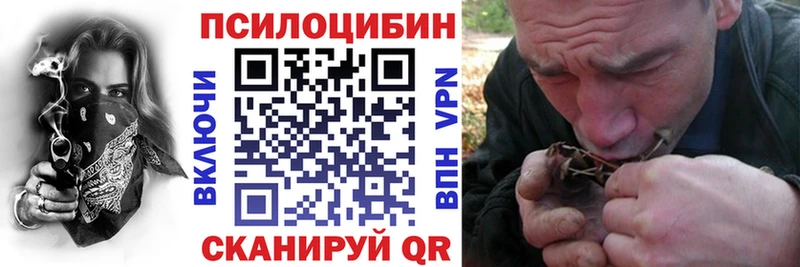 Псилоцибиновые грибы Psilocybine cubensis закладки Перевоз